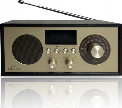 Radio portative LTC BRDA, Bluetooth, FM, karikim wireless 10W, zi ari