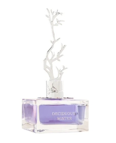 Set Aurora Scents Deciduous Winter - EDP 100 ml + EDP 9 ml