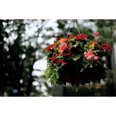 Lente Canon RF 50mm f/1.8 STM