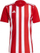 Fanellë futbolli adidas Striped 21 Jersey M GN7624, poliester i ricikluar, e kuqe e bardhë