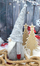 Dekor Krishtlindjesh Saska Garden Christmas, xhuxh 45 cm, gri