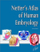 Netter S Atlas Of Human Embryology - Larry R. Cochard