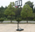 Set basketbolli Tajfun Adjustable, lartësi 1.35-3.05m, panel transparent, i zi