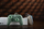 Gamepad 8BitDo Ultimate C për Xbox, me kabllo, RGB, Windows 10/11, i gjelbër