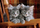 Puzzle Clementoni 35580 “Kittens”, 500 copa, me shumë ngjyra