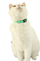 Qafore mace Zolux Chatouille, e rregullueshme 20-30 cm, material reflektues, jeshile