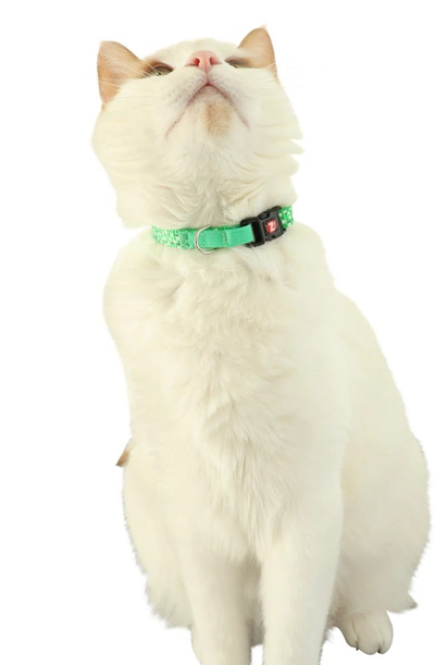 Qafore mace Zolux Chatouille, e rregullueshme 20-30 cm, material reflektues, jeshile