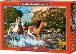 Puzzle Castorland Horse Wonderland, 1000 copa, shumëngjyrësh