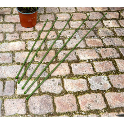 Set shkopinj mbajtës për bimë, 6 copë, 50–80 cm, jeshil