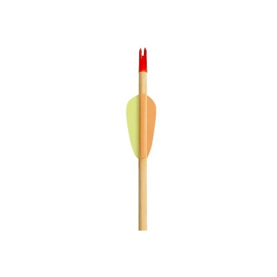 Shigjeta druri Poe Lang Target 30", set me 5 copë, për praktikë, me shumë ngjyra