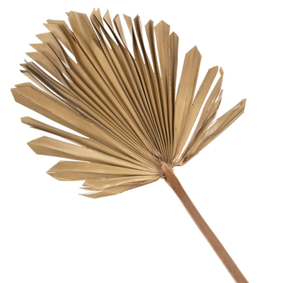 Dekor muri palme 30x102x3cm (HM7876)