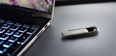 USB SanDisk Extreme Go, 256 GB, USB Type-A