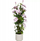 Lule artificiale në vazo BLOMMA, 98 cm, lule rozë, vazo krem