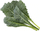 Pako kapsula Click and Grow SGR86X3, lakër jeshile italiane, 3 copë