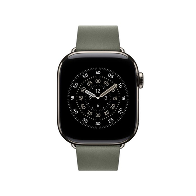 Apple Watch 42mm Modern Buckle, Sage Gray Modern Buckle, Large