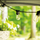 Varg dritash kopshti MasterLED Garland, 10x E27, 10 m, i zi