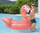 Lodër fryrëse Bestway Flamingo, 148 x 127 x 99 cm, për 1 njeri, rozë