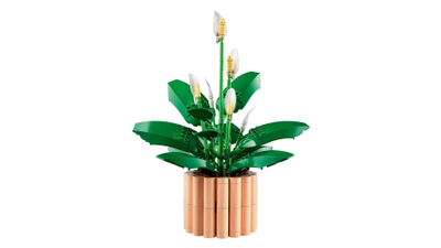 Set LEGO Botanicals 11504 Peace Lily, lule dekorative, për të rritur, shumëngjyrësh