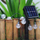 Drita kopshti Aptel LED, 6.5m, 1.8W