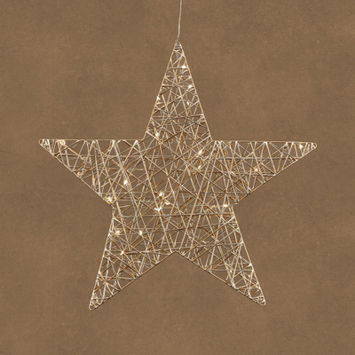 Yll dekorativ Edelman Luca, 40 LED, 50 cm, shampanjë