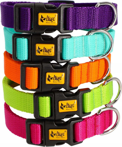 Qafore për qen Dingo DINGO Collar, 2.5 x 55cm, me rregullim 31-49cm, rozë