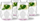 Set gotash Vialli Design Geo Fondo, 4 copë, 450 ml, rozë