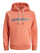 Duks Jack&Jones JORLAKEWOOD Relaxed Fit 12246802 Ginger