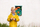Loja me shenjester me magnet Dino World, me dy ane, per kalama, shume ngjyrash