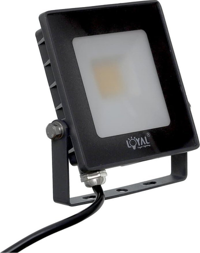 Projektor LED Loyal Lighting LY-FLE20, 20W, 2800lm, IP65, 4000K, i zi