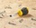 Kaçavidë e shkurtër Stanley STHT16147-0 Cushion Grip, majë e sheshtë 6.5x45mm, e verdhë me të zezë