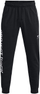 Pantallona për meshkuj Under Armour Project Rock, 2255849-31010656, XL