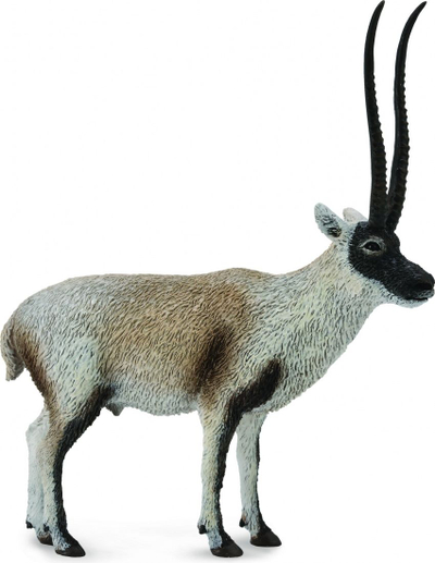 Figurinë Collecta Chiru - Antilopë Tibetiane (004-88721)