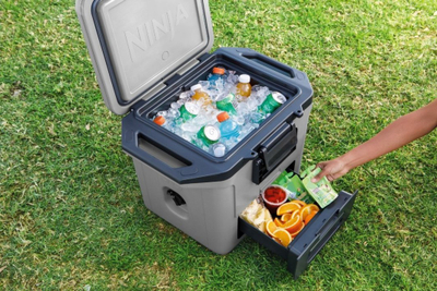 Frigorifer portativ Ninja FrostVault FB131EUGY, 28L, me sirtar Dry Zone, ngjyrë gri