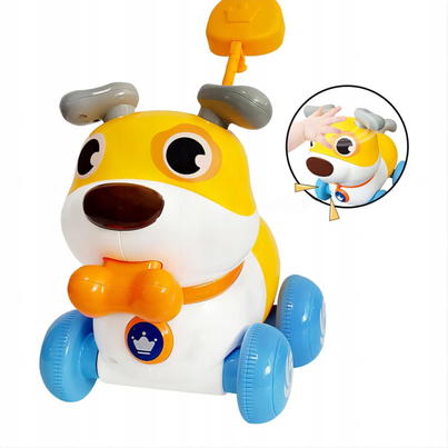 Product Picture