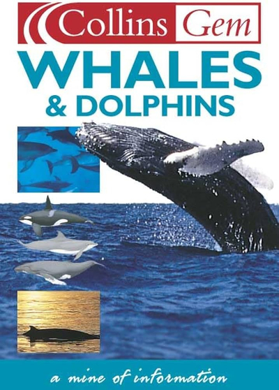 Whales And Dolphins