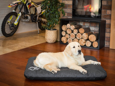 Кревет за кучиња Eco Mattress Dog Bed Playpen R2, 100x70cm, зелен