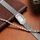 Set orë dore + byzylyk Trussardi T-Strict R2453155505