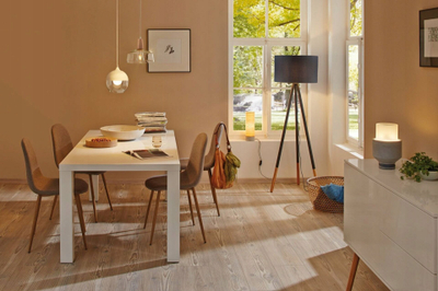 Llampë LED Paulmann Globe G125, E27, 9W, 2700K, e bardhë opale