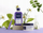 Shampo për flokë Phyto Purple No Yellow, 250 ml, kundër tonit të verdhë