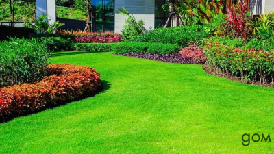 Семe за декоративна трева Biopon Universal Grass, 0,5 kg, отпорна на мраз, зелена
