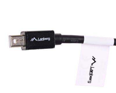 Kabllo adapter Mini DisplayPort në DisplayPort, 10 cm, i zi