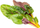 Билни капсули Click & Grow со блитва Rainbow Chard, сет 3 парчиња, за внатрешна градина, многуобојни