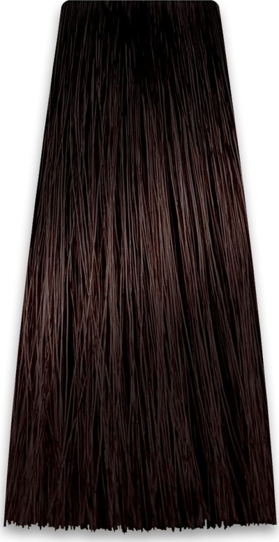 Ngjyrë flokësh Chantal Prosalon Color Art Dye 5/B1, 100 g, profesionale, kremoze