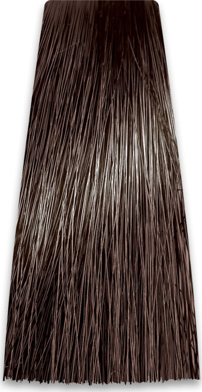 Ngjyrë flokësh Chantal Art Color Prosalon 5.1, 100 ml, mbulim i plotë i thinjave