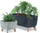 Vazo lulesh Prosperplast Gracia Square, 24cm, efekt betoni, gri