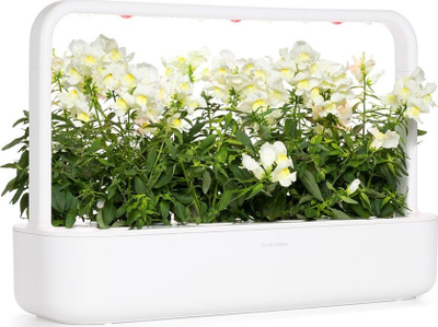 Kapsula bime Click &amp; Grow White Snapdragon, set me 3 copë, lule të bardha