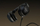 Kufje wireless Vention SoundMate S11, in ear, të zeza