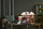 Set lodër LEGO Ideas 21330 Home Alone, 3955 copë, për të rritur, shumëngjyrësh