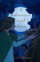 A Midsummer Nights Dream Ce - William Shakespeare
