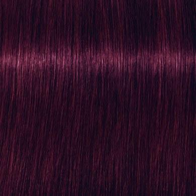Ngjyrë për flokë Schwarzkopf Igora Royal, Violet 5-99, 60 ml